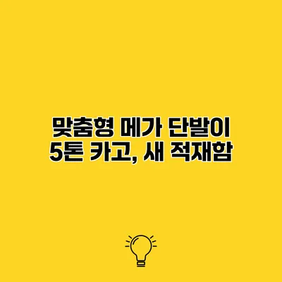 맞춤형 메가 단발이 5톤 카고, 새 적재함
