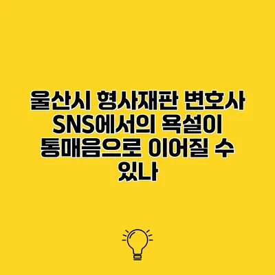 울산시 형사재판 변호사 SNS에서의 욕설이 통매음으로 이어질 수 있나?