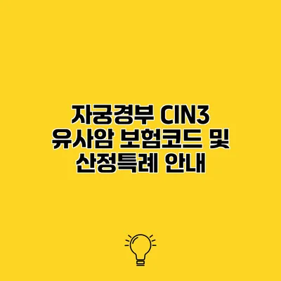자궁경부 CIN3 유사암 보험코드 및 산정특례 안내